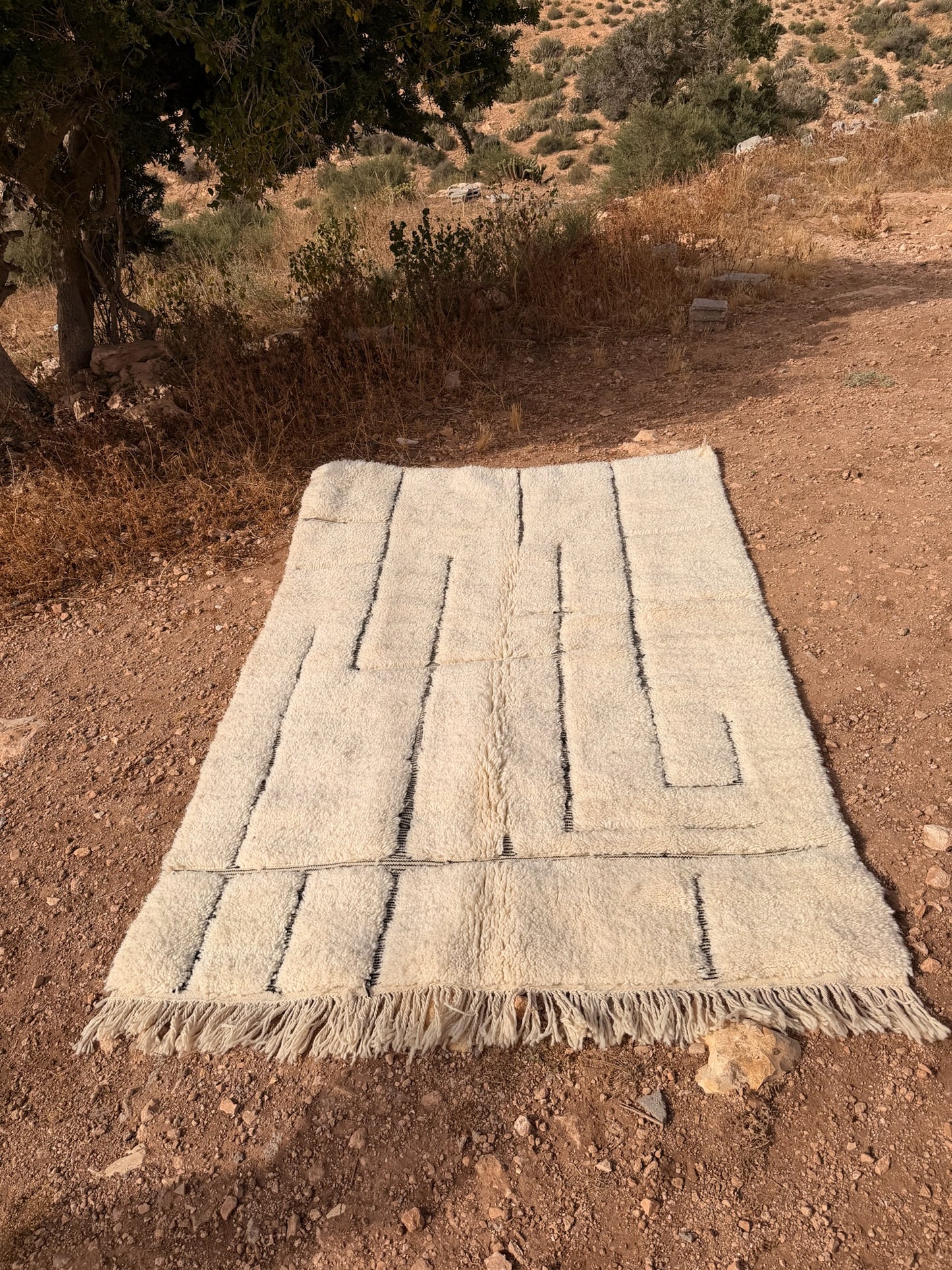The Ali - Beni Ourain 250x165cm