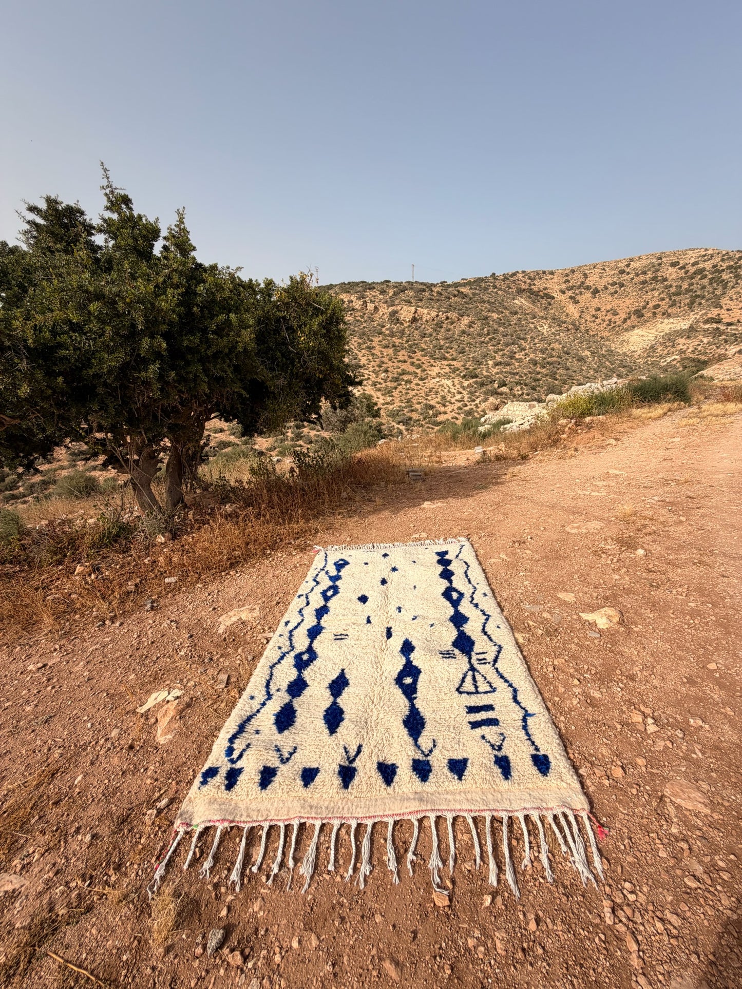 The Emily - Azilal 240x137cm
